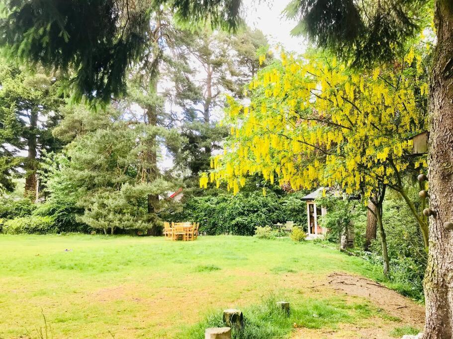 The Beeches Studio, Highlands Of Scotland Newtonmore Esterno foto