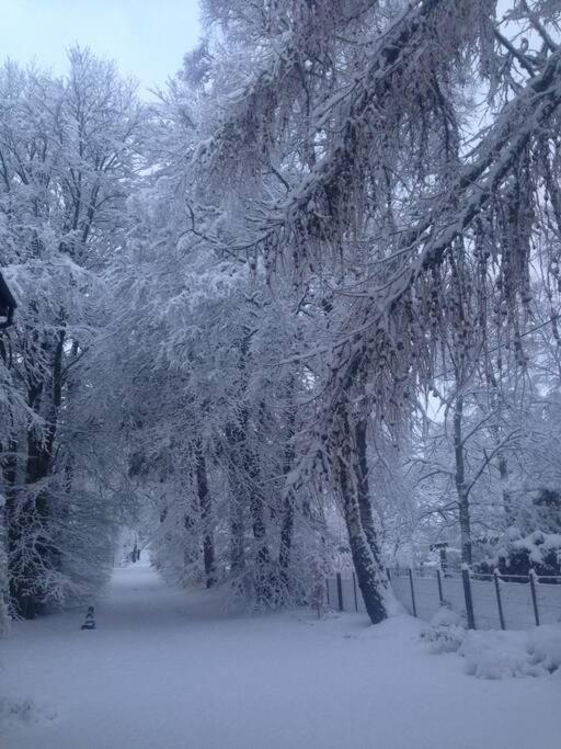 The Beeches Studio, Highlands Of Scotland Newtonmore Esterno foto