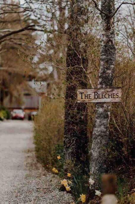 The Beeches Studio, Highlands Of Scotland Newtonmore Esterno foto
