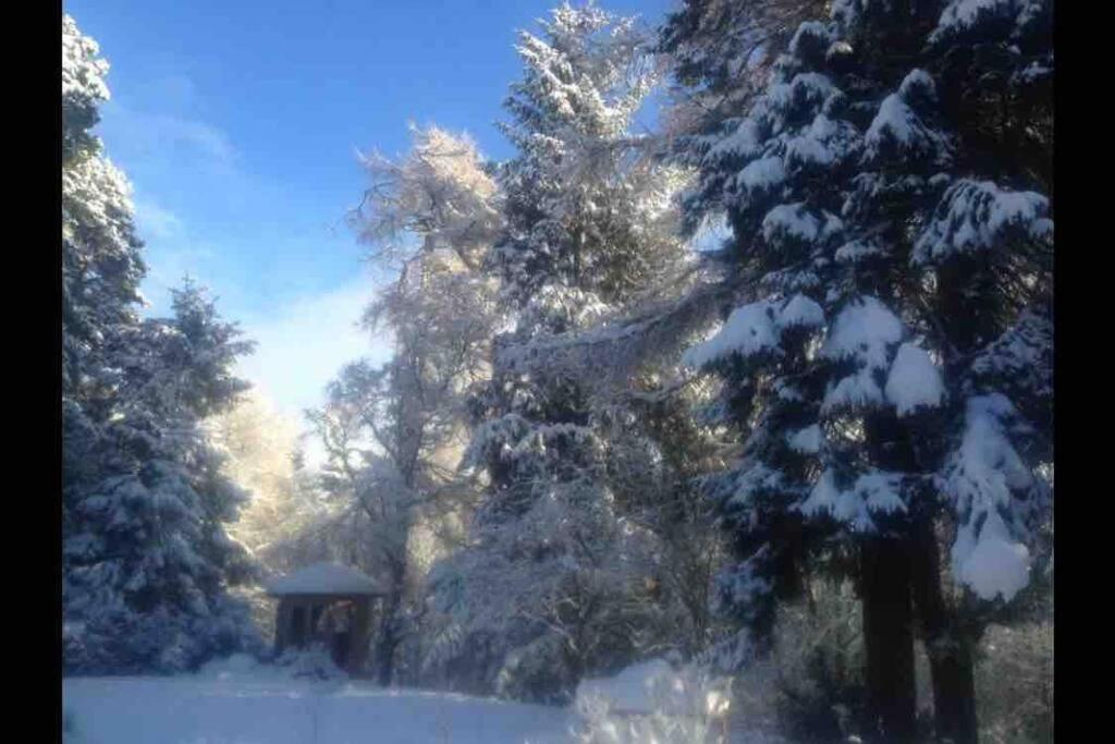 The Beeches Studio, Highlands Of Scotland Newtonmore Esterno foto